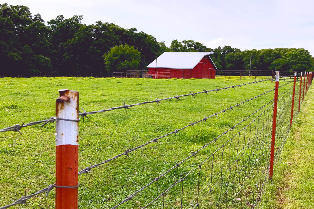 FERTILE GROUND: This 2-acre farm in Bentonville, Arkansas, is under the care of Adam Millsap and Melissa Young-Millsap.