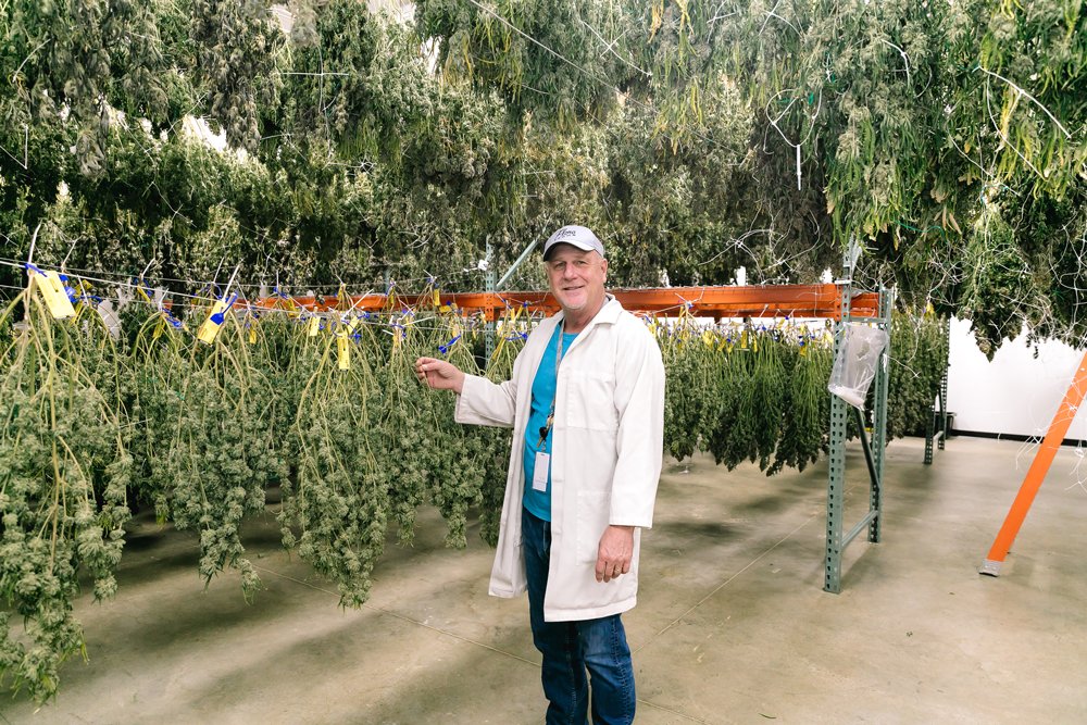HANGING OUT: Mark Hendren, Flora Farms president, says the company delivers 150-250 pounds of cannabis flower to state dispensaries and manufacturing facilities per week.