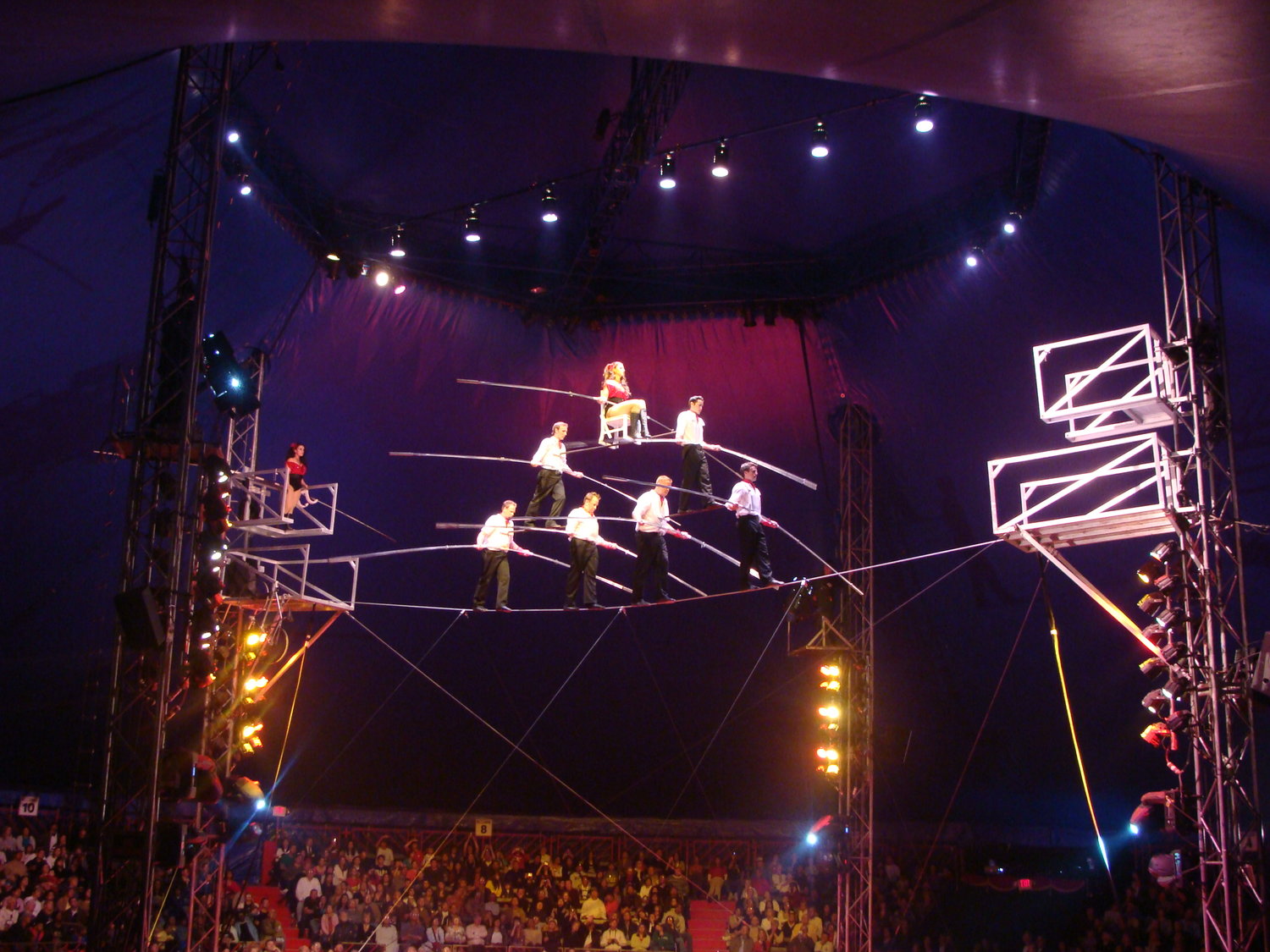 Zirkus will feature high-wire walking, acrobatics and other performances.