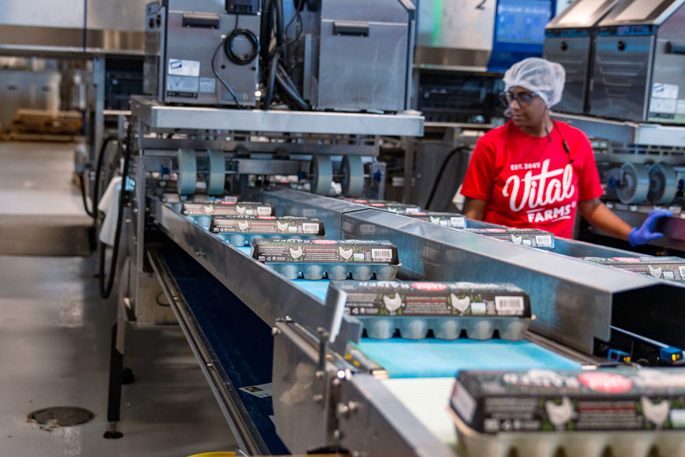 One of Vital Farms' 175 current employees oversees an automated conveyor in the egg washing and packing center.
