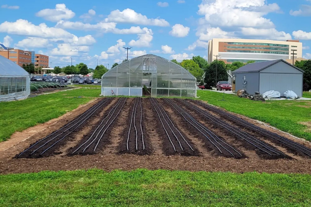 Amanda Belle’s Farm at Cox South represents an existing partnership with Springfield Community Gardens.